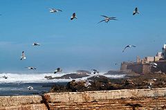 Essaouira