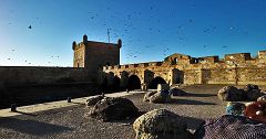 Essaouira: forte