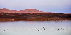 Merzouga: lago