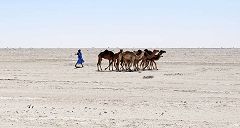 Nouakchott: deserto