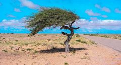 On the road - verso l’Oued Ed-Dahab-Lagouira