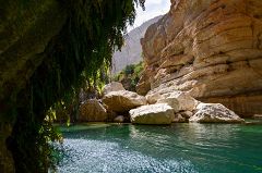 Wadi Tiwi