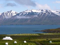 Eyjafjörður: fiordo