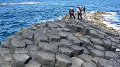 Giant’s Causeway: l’alveare