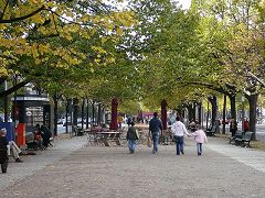 Unter den Linden