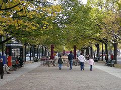 Unter den Linden