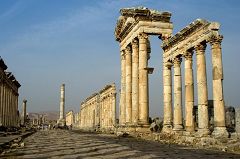 Il colonnato di Apamea (Afamya)