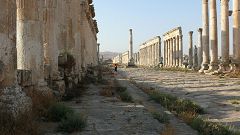 Il colonnato di Apamea (Afamya)