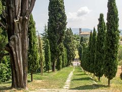 Inverigo: viale dei cipressi (Gigante)