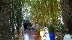 Jardin Majorelle