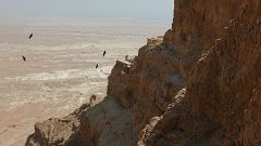 Masada