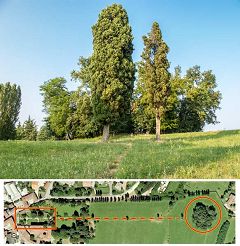 Romanò: Roccolo di Romanò