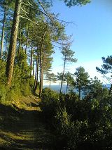 Il sentiero San Fruttuoso - Portofino