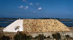 Marsala: saline Ettore e Infersa