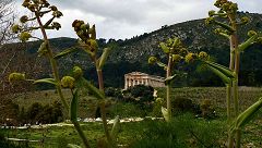 Segesta: tempio