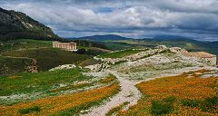 Segesta: tempio