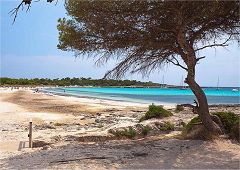 Spiagge di Son Saura