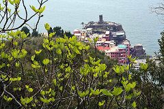 Trek Vernazza - Madonna di Reggio