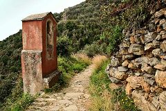 Trek Vernazza - Madonna di Reggio