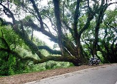 Ruta Nacional 9