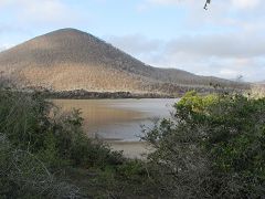 La laguna di Punta Cormorant (Floreana)