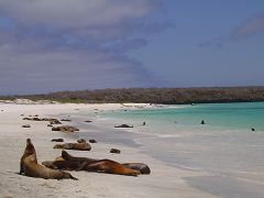 Gardner Bay (Española)