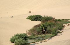 Ica: oasi e dune