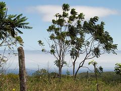 Terre Alte di Santa Cruz (Highlands)