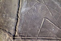 Nasca: ragno