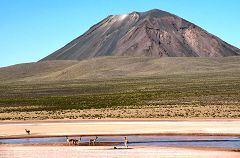 Pampa Cañahuas: vulcano Chachani