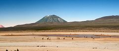 Pampa Cañahuas: vulcano Chachani