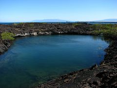 Punta Moreno (Isabela)