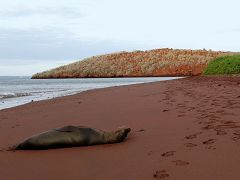 Rabida (Jervis Island)