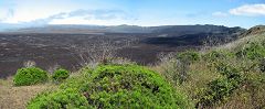 Volcano Sierra Negra