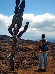 Sierra Negra: caldera