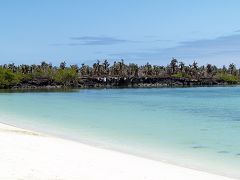 Playa Mansa (Tortuga Beach)