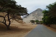 Huacas de Moche ( Trujillo)